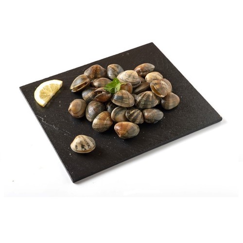  Cloïssa Japonesa (unitaria)