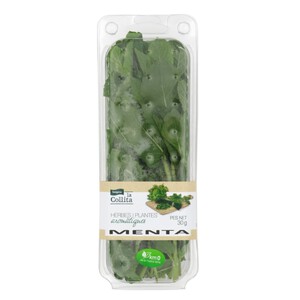 LA COLLITA Menta fresca Km0 en safata de 30 g