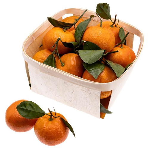  Mandarines fulla safata 1,5 Kg