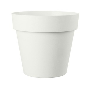 Imagen de DEROMA Test de plàstic de 18cm