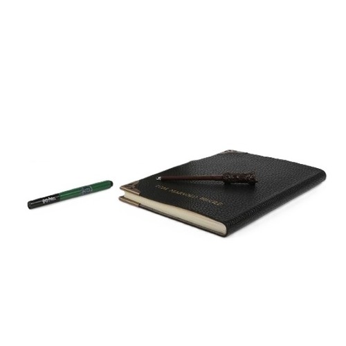 HARRY POTTER Diari secret tom riddle