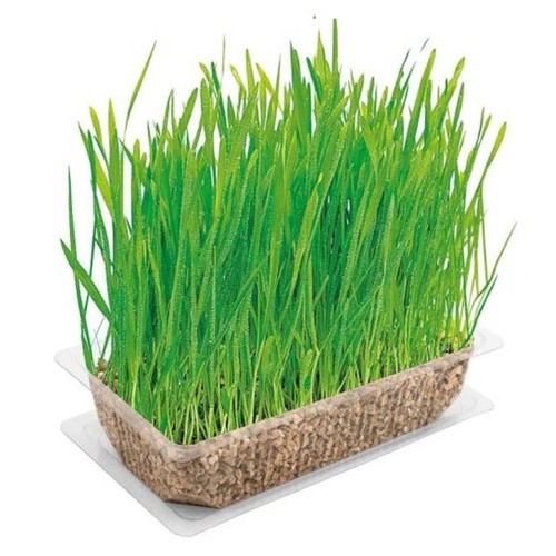 VITAKRAFT Herba Gatera