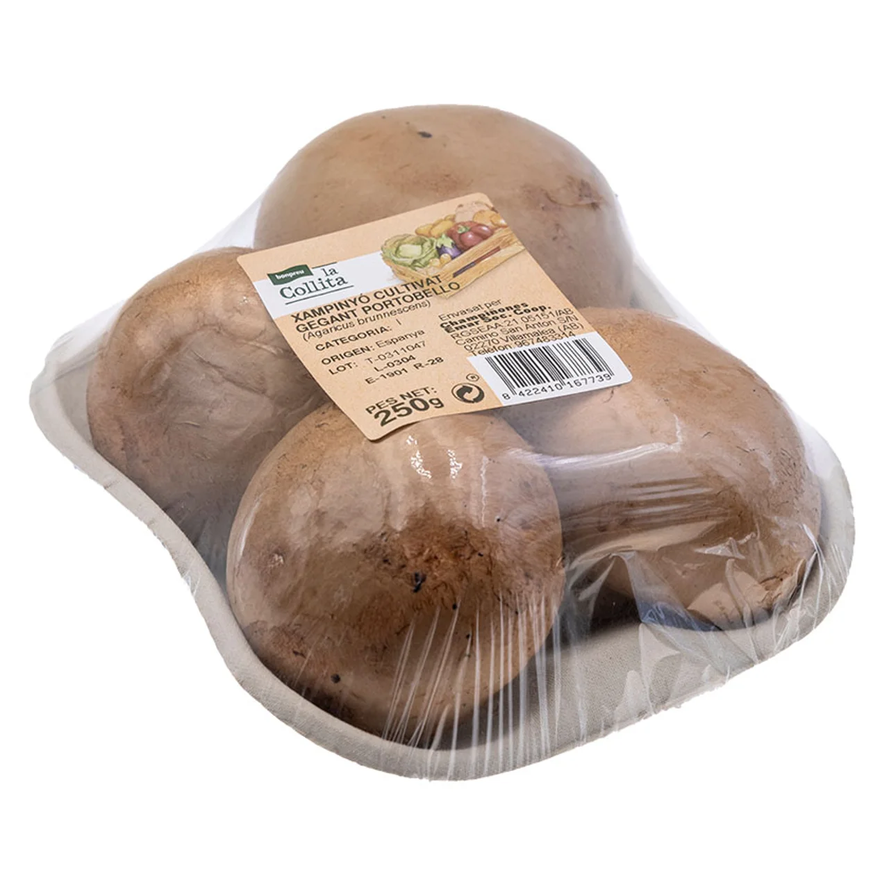 Champiñón gigante Portobello en bandeja de 200 g