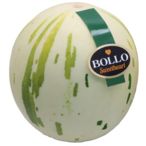  Meló Bollo blanc 1 u.