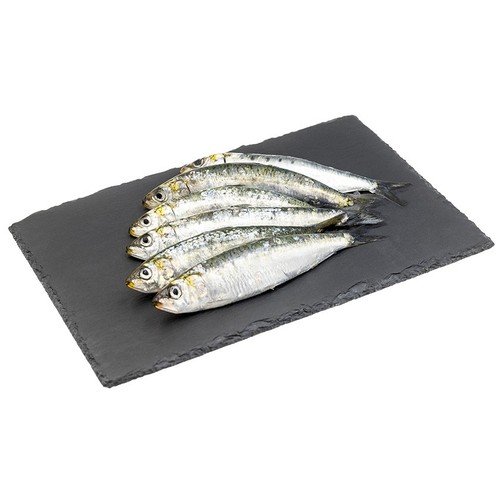  Sardina grossa