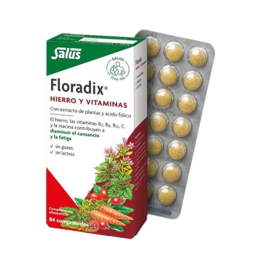 SALUS Complement de ferro i vitamines Floradix