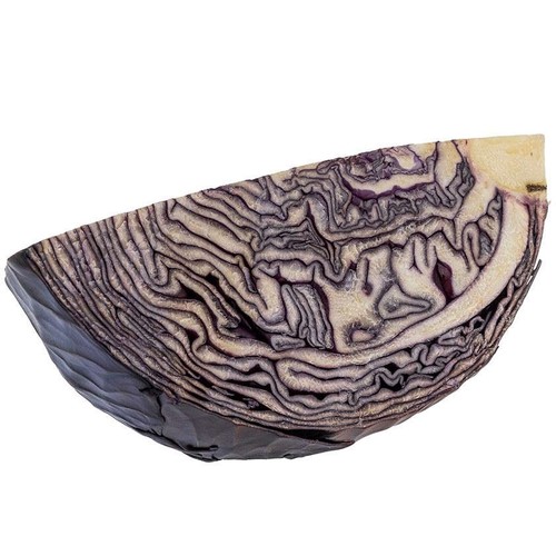 LA COLLITA Col llombarda en bossa de 450 g.